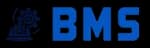 Boas Mining Services (BMS)